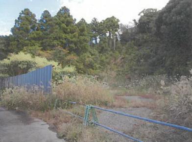 大島町野増字大宮上手
２８番１の競売物件
