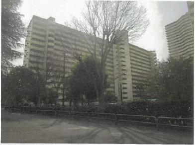 板橋区中台三丁目壱弐参七番地壱の競売物件