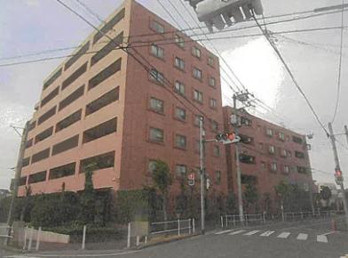 板橋区徳丸三丁目１２５番地１の競売物件