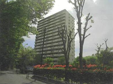 板橋区中台三丁目壱弐参七番地壱の競売物件