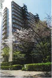 町田市山崎町字九号１３５６番地　町田市山崎町字八号１２２３番地の競売物件