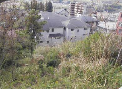 青梅市河辺町二丁目
１０３７番１の競売物件