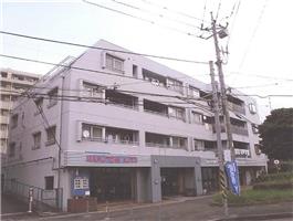 横浜市戸塚区平戸町字平戸台２０９番地７の競売物件