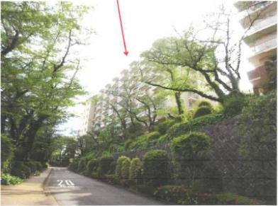 横浜市戸塚区前田町字向山267番地1 横浜市戸塚区前田町字堂屋敷264番地1の競売物件