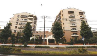横浜市中区新山下三丁目5番地1の競売物件