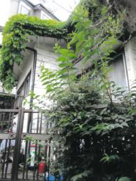 横浜市南区大岡一丁目
１８８４番７の競売物件