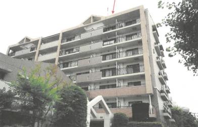 横浜市中区新山下三丁目５番地１の競売物件