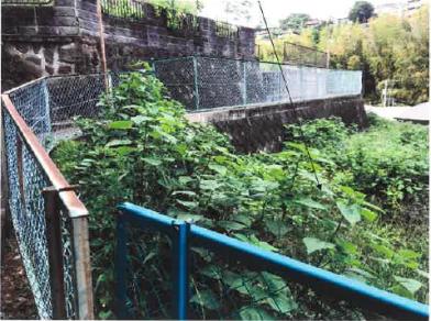 足柄下郡湯河原町福浦字杉洞
３４２番の競売物件