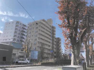 平塚市明石町１６番地３の競売物件