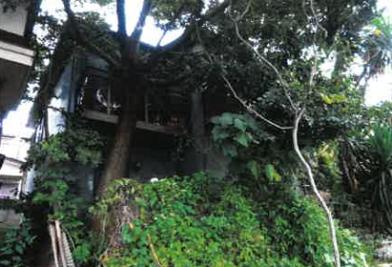 和光市白子三丁目
７２６番１５の競売物件