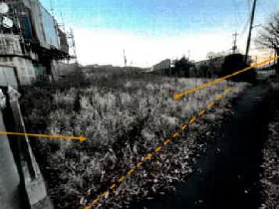 川口市安行出羽五丁目
２番１１の競売物件