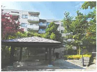 所沢市大字山口字西椿峰
５０１９番１の競売物件