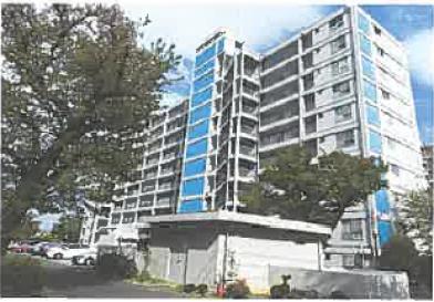 所沢市大字北秋津字茨原前　８７６番地２の競売物件