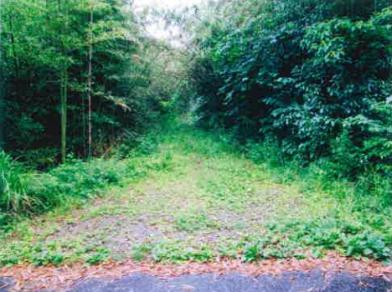 長生郡睦沢町大谷木字下川崎
４１１番１の競売物件