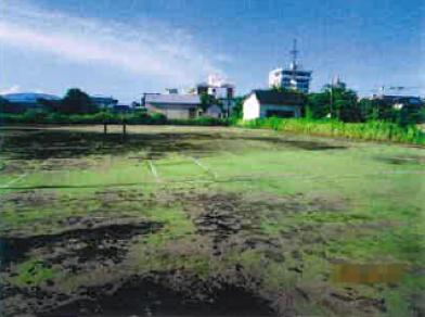 長生郡白子町中里字浜通
５３４５番の競売物件