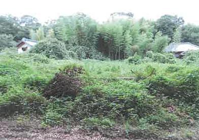 山武市松尾町上大蔵字宮前
３６３番３の競売物件