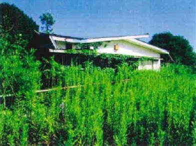鴨川市浜荻字西山際
１１７２番３の競売物件