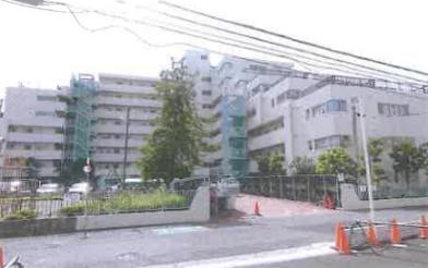 市川市欠真間二丁目１６番地１の競売物件