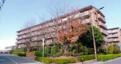 市川市堀之内三丁目１０３番地２の競売物件