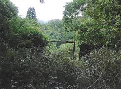 木更津市真里谷字音信山
５６５４番３７の競売物件