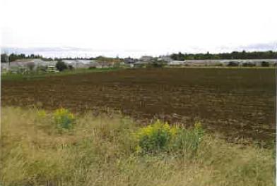 香取市伊地山字追出
９９７番の競売物件