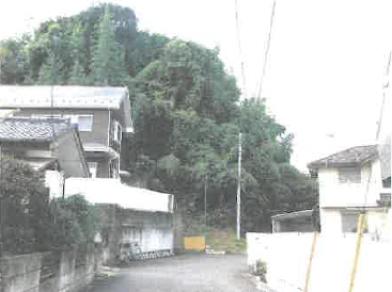 柏市花野井字丸山
1137番5の競売物件