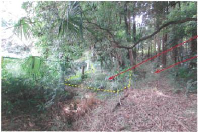 流山市名都借字辺多山
１０３６番の競売物件