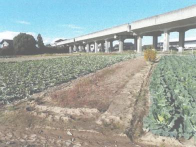 水戸市吉沼町字荒地
１８６９番３の競売物件