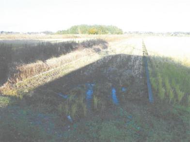 水戸市吉沼町字沼内
２４５番の競売物件