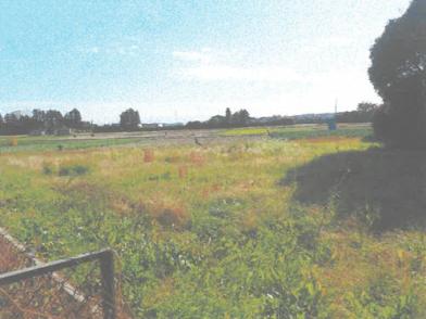 水戸市吉沼町字荒地
１８６９番２の競売物件