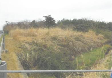 北茨城市関南町神岡上字東側
５３３番１の競売物件