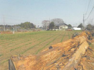 笠間市鴻巣字家前
５７６番６の競売物件