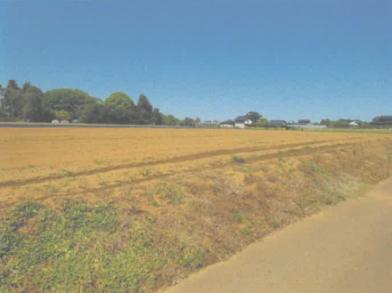 鉾田市徳宿字星谷
１７４３番３の競売物件