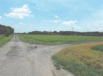 水戸市小林町字上田
１８１２番の競売物件