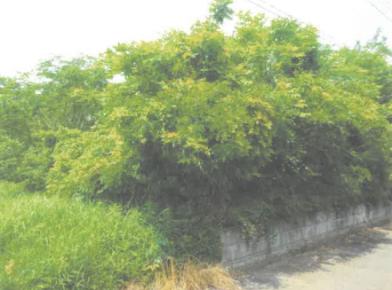 小美玉市納場字南前
８７０番５４の競売物件