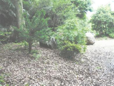 行方市南字八石
６９番２の競売物件