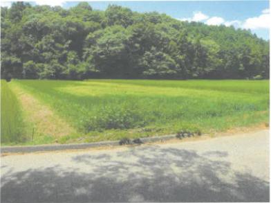 常陸太田市瑞龍町字谷津
３０１５番の競売物件