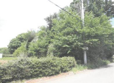 つくば市小白硲字原山
４２８番１の競売物件