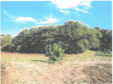 石岡市井関字山庄屋敷
７４４番の競売物件