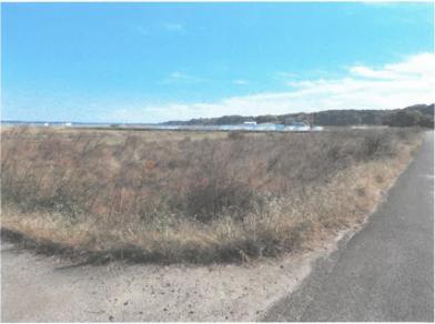 石岡市井関字八木
３８５９番の競売物件