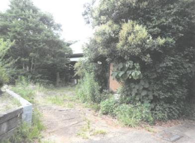 つくば市妻木字阿弥陀前
６１２番２の競売物件