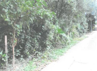 坂東市菅谷字東原
２９７番２の競売物件