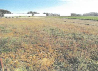 結城郡八千代町大字村貫字高台
６０４番の競売物件