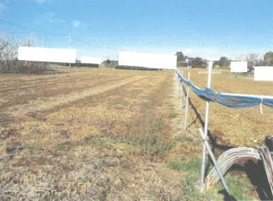 結城郡八千代町大字村貫字ハサマ
１３５３番の競売物件