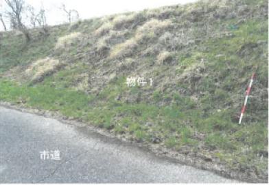 鹿沼市北半田字向原
１２５番１の競売物件