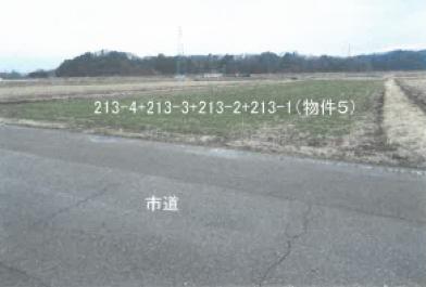 鹿沼市北半田字下半田
２１３番１の競売物件