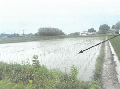 栃木市藤岡町部屋字高畑
２０３９番の競売物件