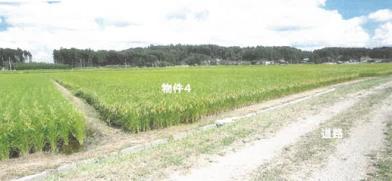 矢板市沢字前田
４４６番１の競売物件