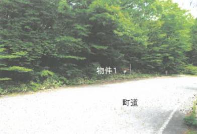 那須郡那須町大字高久乙字遅山
３３７５番２０２１の競売物件