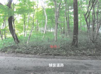 那須郡那須町大字高久乙字遅山
３３７６番７５９の競売物件